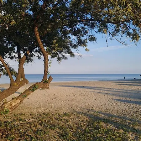 Appartement Dor De Mare - Apartament Goa Mamaia Nord 200 M From The Beach! *